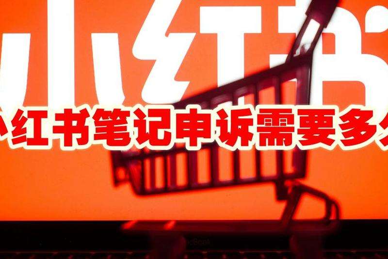 WhatsApp申诉文案